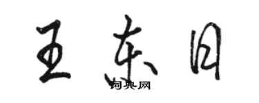 骆恒光王东日行书个性签名怎么写