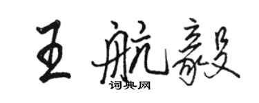 骆恒光王航毅行书个性签名怎么写