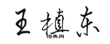 骆恒光王植东行书个性签名怎么写