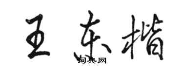 骆恒光王东楷行书个性签名怎么写