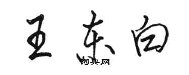骆恒光王东白行书个性签名怎么写