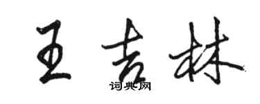 骆恒光王吉林行书个性签名怎么写
