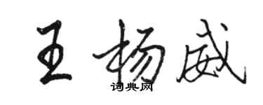 骆恒光王杨威行书个性签名怎么写