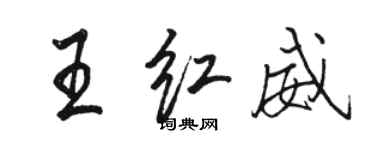 骆恒光王红威行书个性签名怎么写