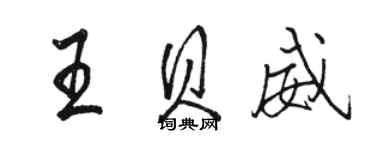 骆恒光王贝威行书个性签名怎么写