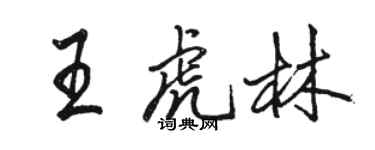 骆恒光王虎林行书个性签名怎么写