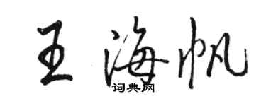 骆恒光王海帆行书个性签名怎么写