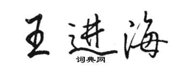 骆恒光王进海行书个性签名怎么写