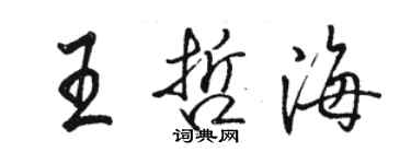 骆恒光王哲海行书个性签名怎么写