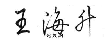 骆恒光王海升行书个性签名怎么写