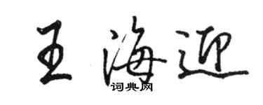 骆恒光王海迎行书个性签名怎么写