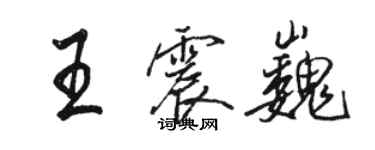 骆恒光王震巍行书个性签名怎么写