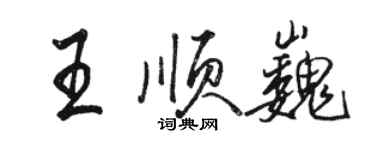 骆恒光王顺巍行书个性签名怎么写