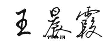 骆恒光王晨霞行书个性签名怎么写