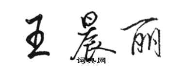 骆恒光王晨丽行书个性签名怎么写