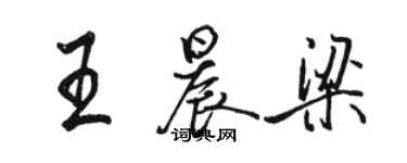 骆恒光王晨梁行书个性签名怎么写