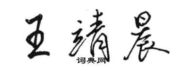 骆恒光王靖晨行书个性签名怎么写