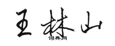 骆恒光王林山行书个性签名怎么写