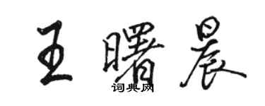 骆恒光王曙晨行书个性签名怎么写
