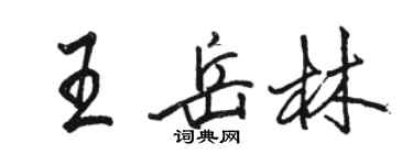 骆恒光王岳林行书个性签名怎么写