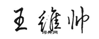 骆恒光王维帅行书个性签名怎么写
