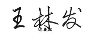 骆恒光王林发行书个性签名怎么写