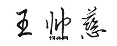 骆恒光王帅慈行书个性签名怎么写