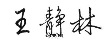 骆恒光王静林行书个性签名怎么写