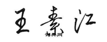 骆恒光王素江行书个性签名怎么写