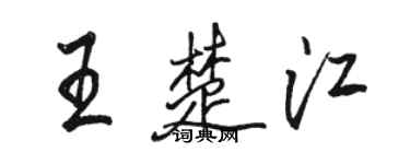 骆恒光王楚江行书个性签名怎么写