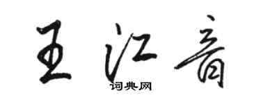 骆恒光王江音行书个性签名怎么写