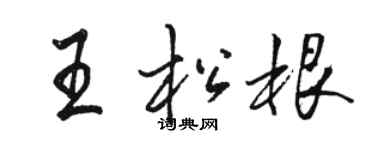 骆恒光王松根行书个性签名怎么写