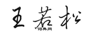 骆恒光王若松行书个性签名怎么写