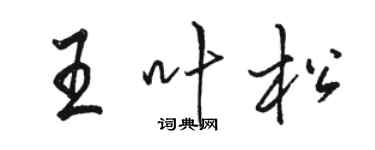 骆恒光王叶松行书个性签名怎么写