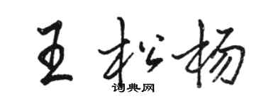 骆恒光王松杨行书个性签名怎么写