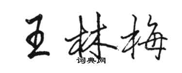 骆恒光王林梅行书个性签名怎么写