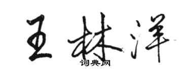 骆恒光王林洋行书个性签名怎么写
