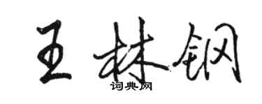 骆恒光王林钢行书个性签名怎么写