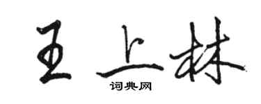 骆恒光王上林行书个性签名怎么写