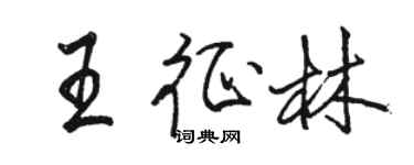 骆恒光王征林行书个性签名怎么写