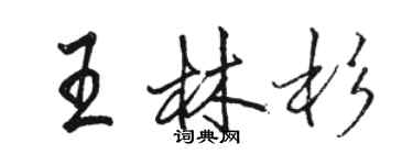 骆恒光王林杉行书个性签名怎么写
