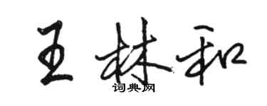 骆恒光王林和行书个性签名怎么写