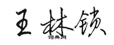 骆恒光王林锁行书个性签名怎么写