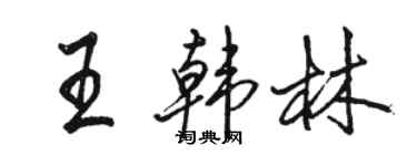 骆恒光王韩林行书个性签名怎么写