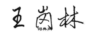 骆恒光王岗林行书个性签名怎么写