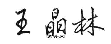骆恒光王晶林行书个性签名怎么写