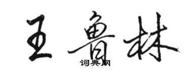 骆恒光王鲁林行书个性签名怎么写