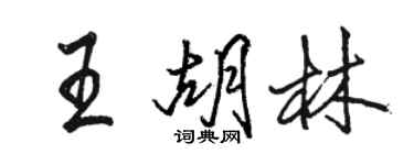 骆恒光王胡林行书个性签名怎么写