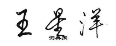 骆恒光王星洋行书个性签名怎么写