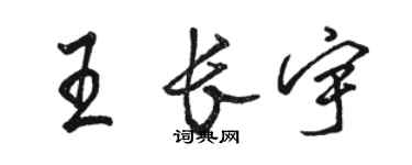 骆恒光王长宇行书个性签名怎么写